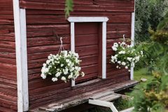 Kaustinen-2023_139-Suuri