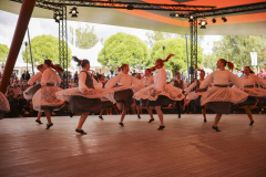 Kaustinen_LauraLietsala_2025_23