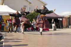 Kaustinen_LauraLietsala_2025_57