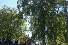 Kaustinen-2026_83
